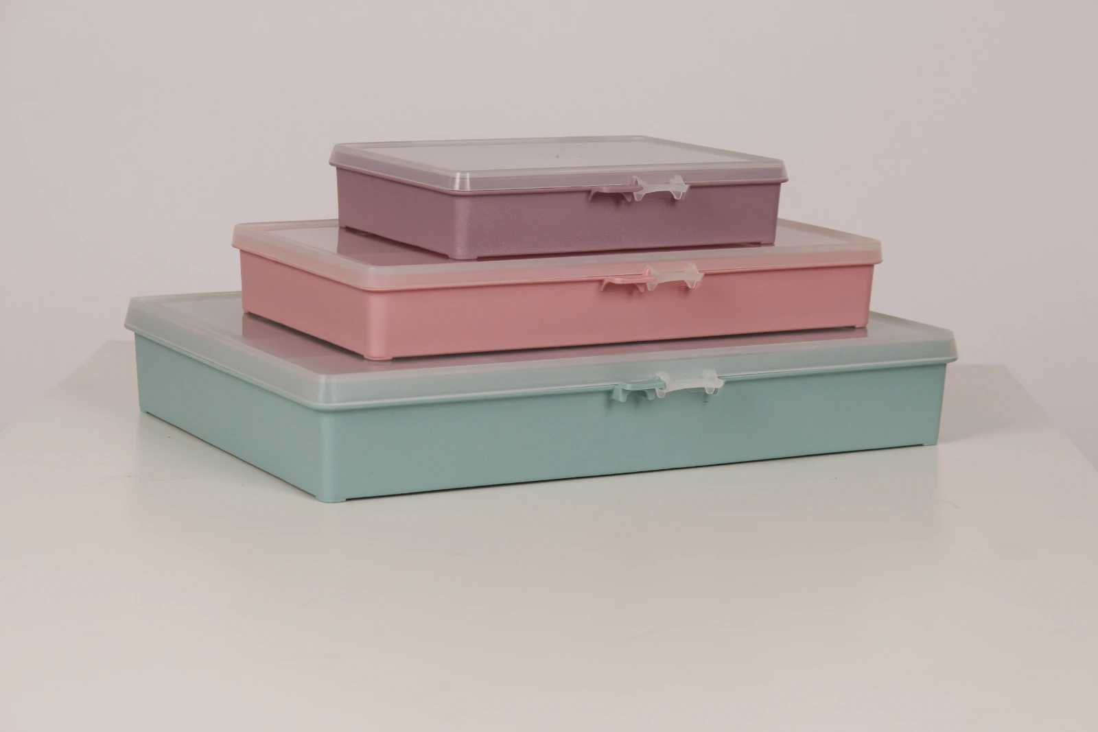 Raaco Assortimentsdoos B9 met 9 vakken roze