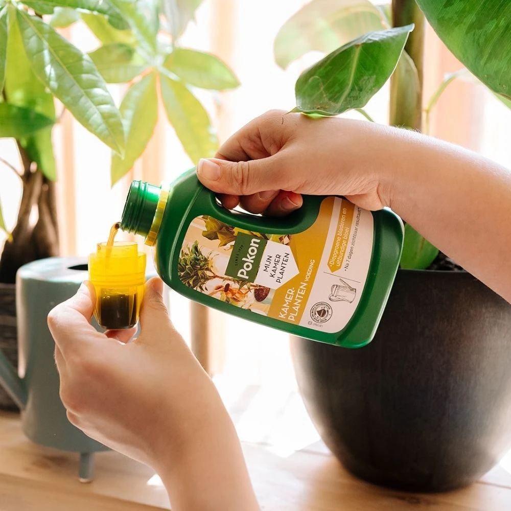 Pokon Kamerplanten Voeding 500ml