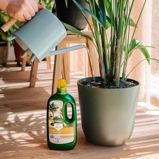 Pokon Kamerplanten Voeding 1000ml