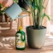 Pokon Kamerplanten Voeding 1000ml