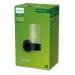 Philips Buitenwandlamp Flareon 25W E27 zwart