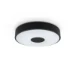 Philips LED-plafondlamp Coiner 24W 2700K O398 mm zwart