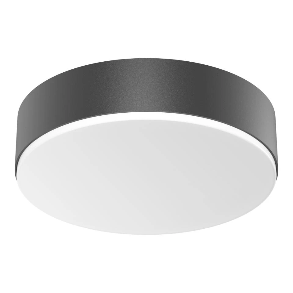 Steinel RS PRO A20 WW anthracite