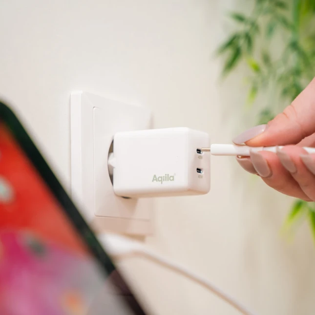 Aqiila Snellader Chargebird W2 45W USB-C 2 poorten