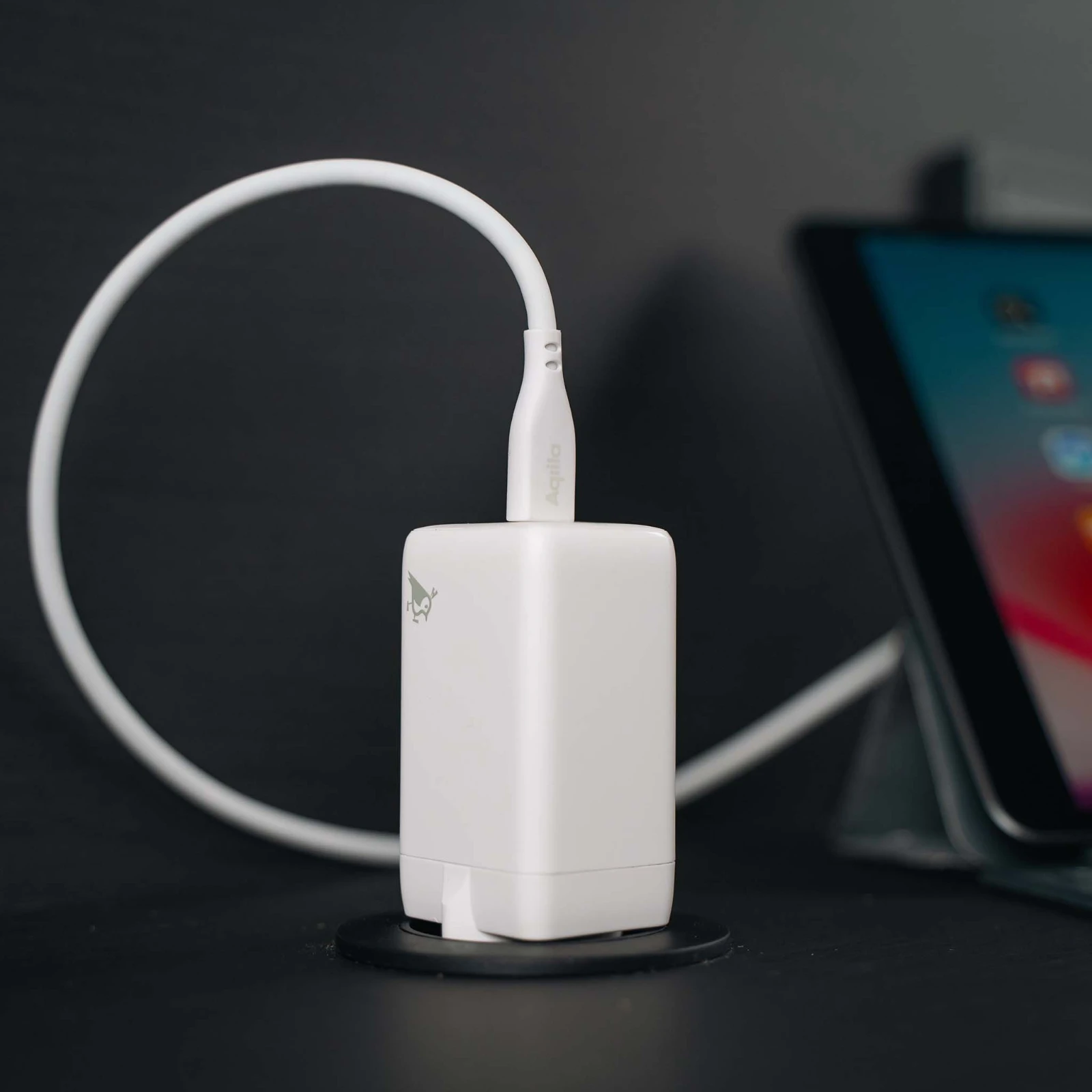 Aqiila Oplaadkabel Cablebird CS12 USB-C naar USB-C 2m siliconen