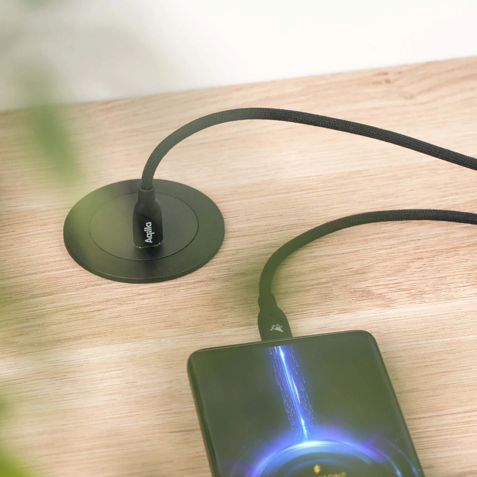 Aqiila Oplaadkabel Cablebird CB13 USB-C naar USB-C 3m nylon