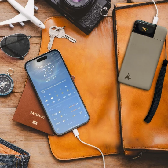 Aqiila Powerbank Powerbird B10 20W 10000mAh groen