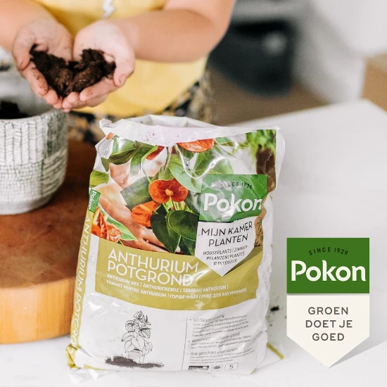 Pokon Potgrond Anthurium 5L