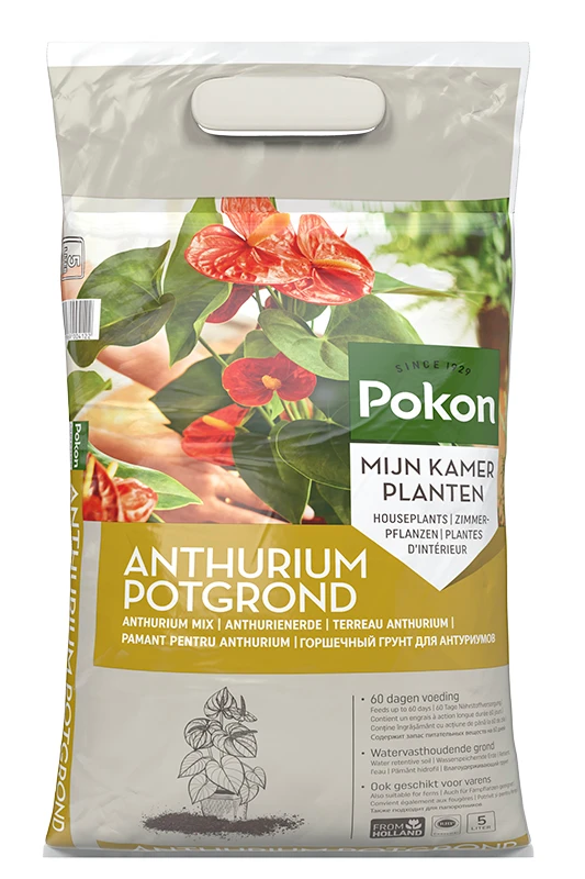 Pokon Potgrond Anthurium 5L