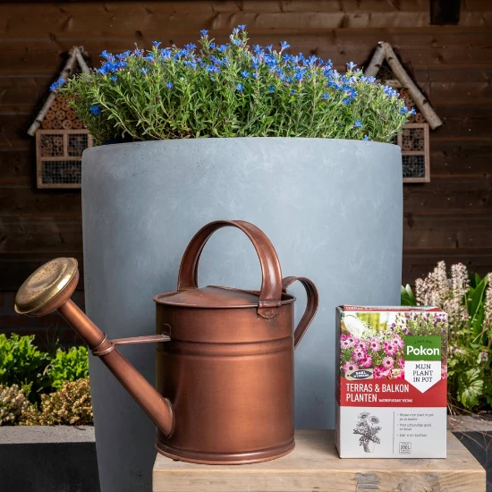 Pokon Terras & Balkon Plant Wateroplosbaar 500 gram