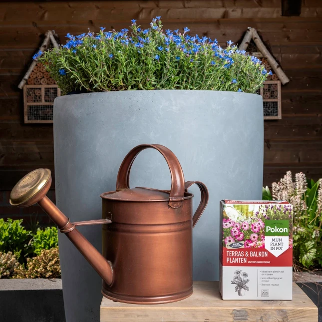 Pokon Terras & Balkon Plant Wateroplosbaar 500 gram