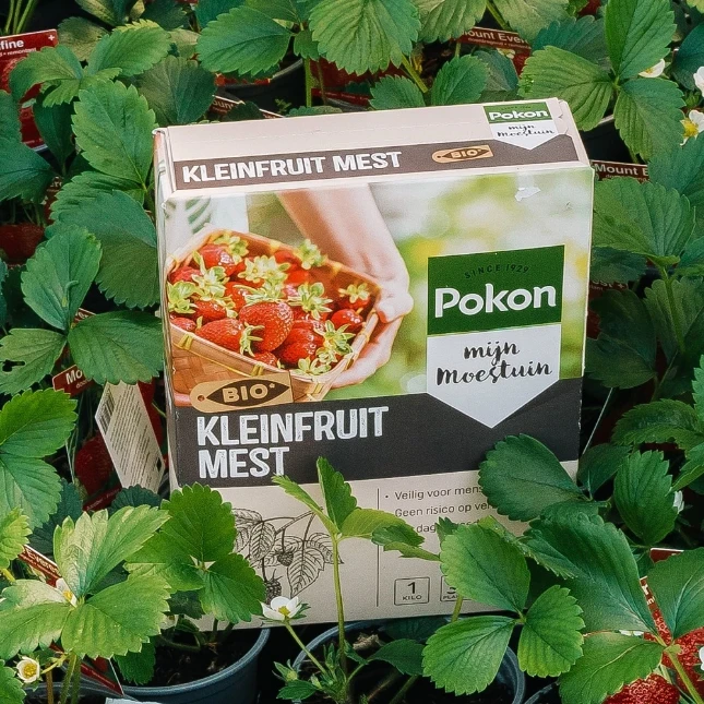 Pokon Bio Kleinfruit Mest 1kg
