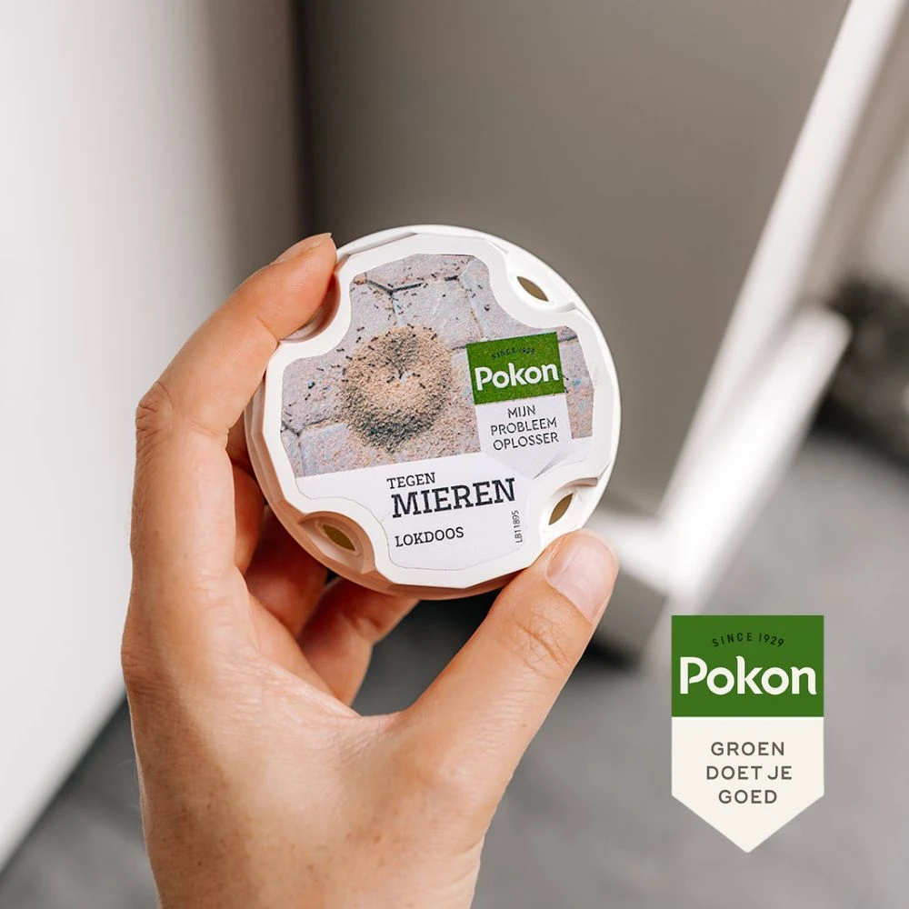 Pokon Tegen Mieren Lokdoos 2x10 gram (2 stuks)