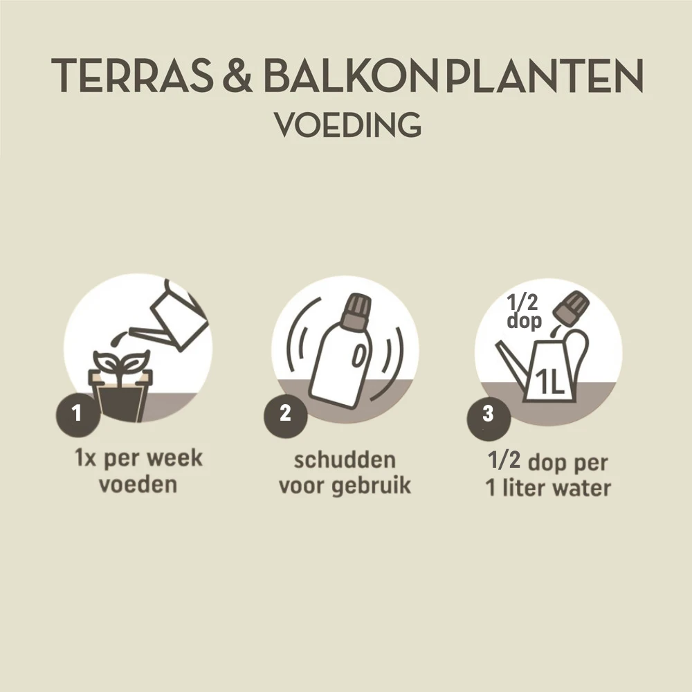 Pokon Terras & Balkon Planten Voeding 500ml