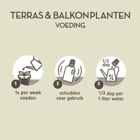 Pokon Terras & Balkon Planten Voeding 500ml