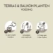 Pokon Terras & Balkon Planten Voeding 500ml