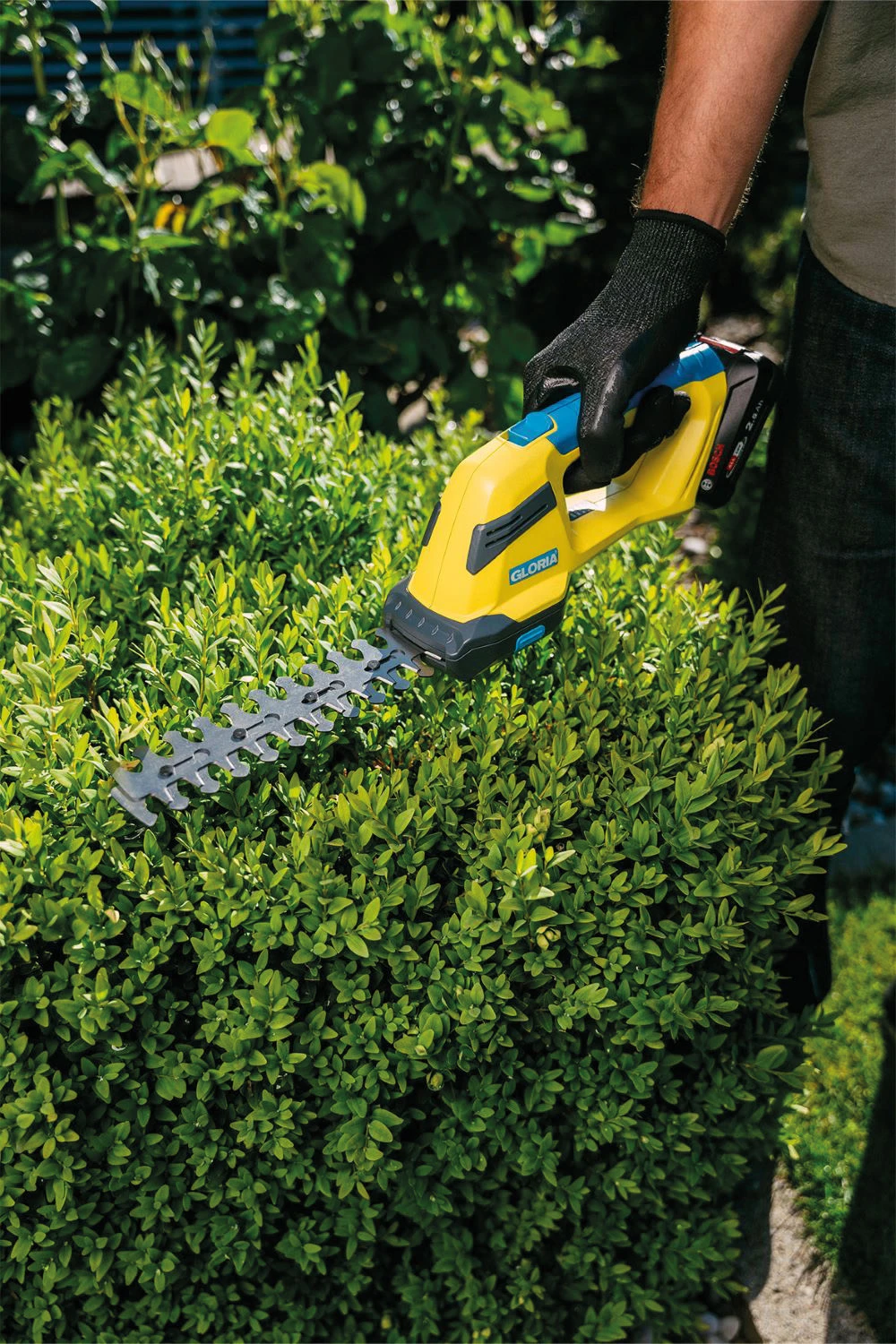 Gloria Accu gras- en buxusschaar FineCut 18V