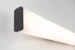 Paulmann LED-wandlamp Nembus IP44 11,5W zwart