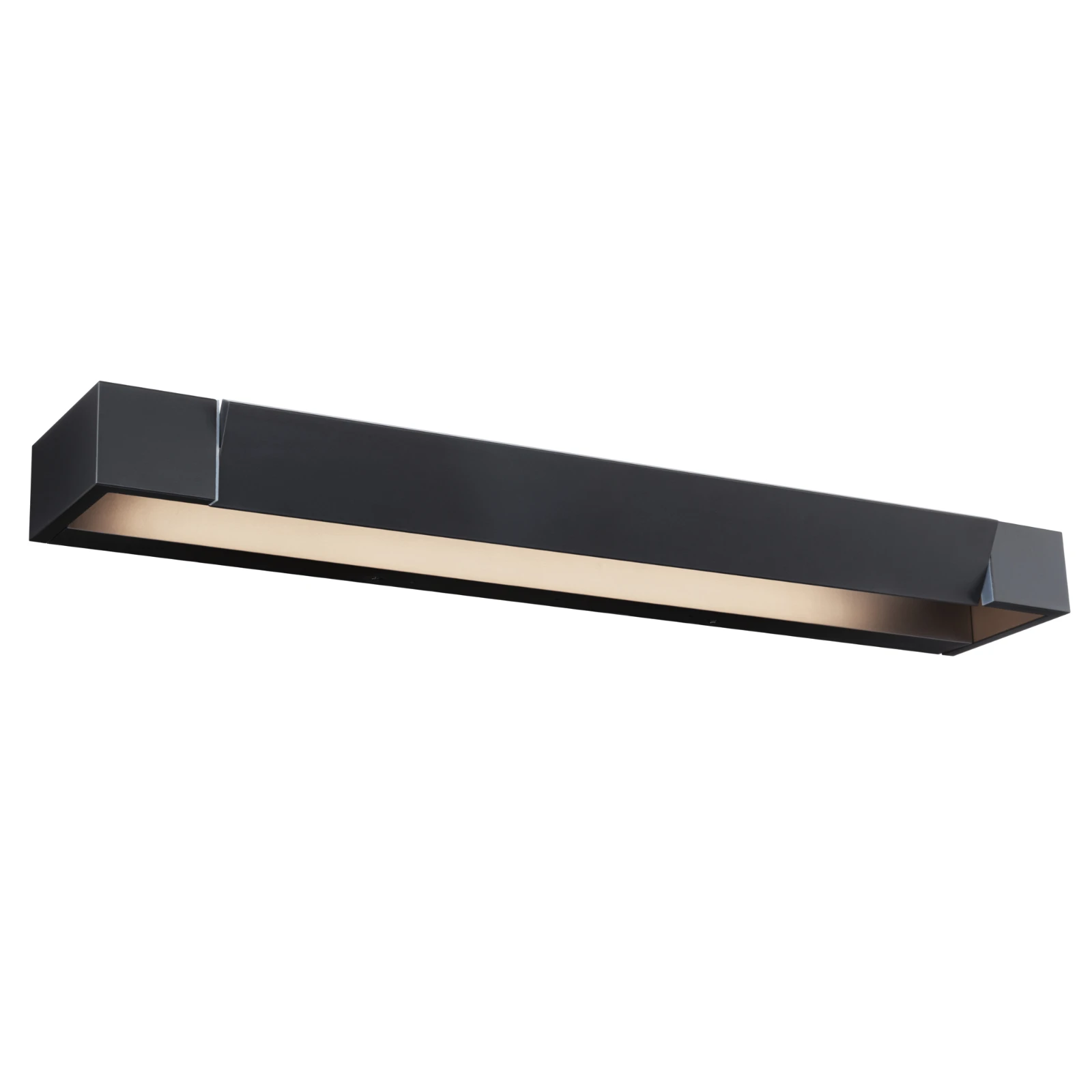 Paulmann LED-wandlamp Lucille IP44 17W zwart