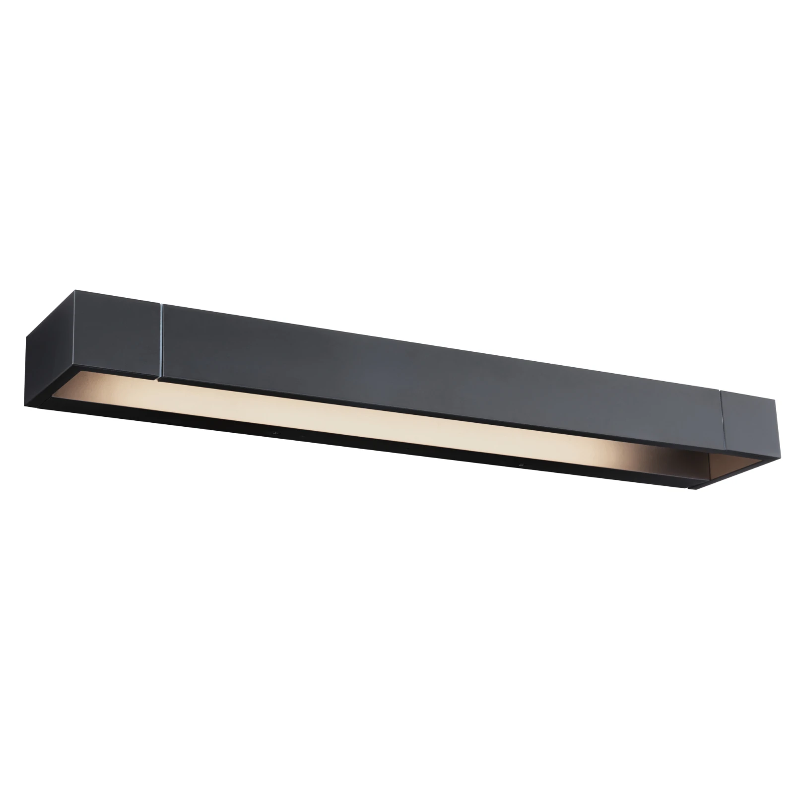 Paulmann LED-wandlamp Lucille IP44 17W zwart