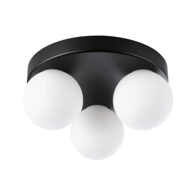 Paulmann Plafondlamp Gove IP44 G9 dimbaar  - mat zwart