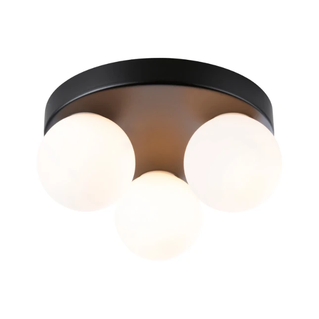 Paulmann Plafondlamp Gove IP44 G9 dimbaar  - mat zwart