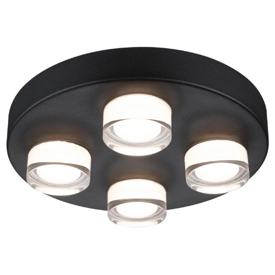 Paulmann Wand- en plafondlamp Kame IP44 zwart