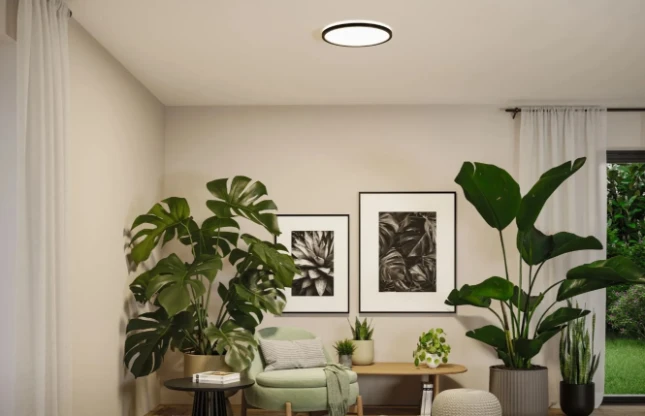 Paulmann LED-paneel Atria Shine rond O398mm 20,8W zwart