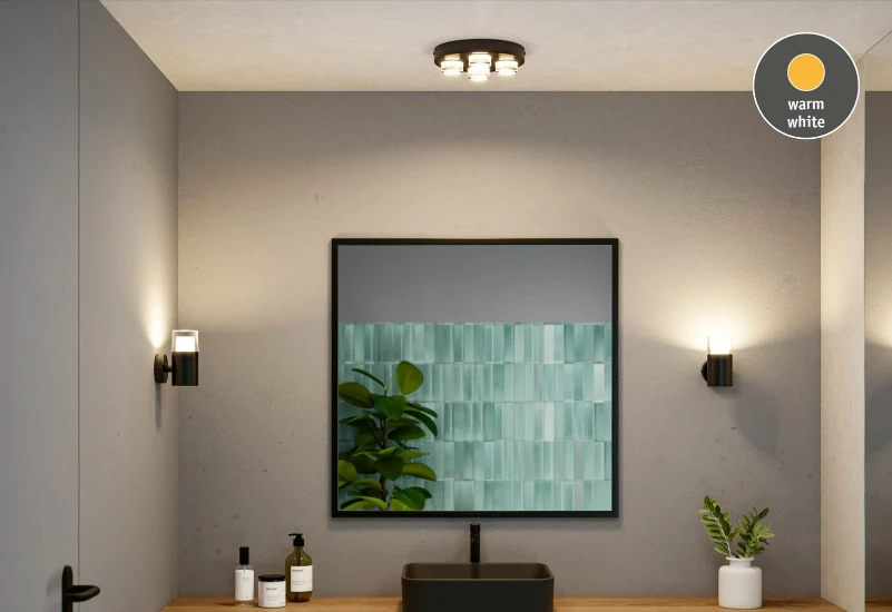Paulmann Wand- en plafondlamp Kame IP44 zwart