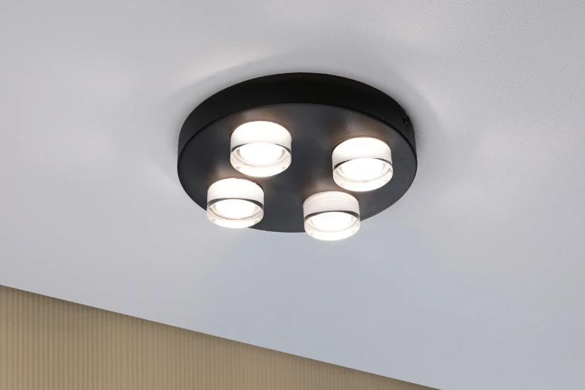 Paulmann Wand- en plafondlamp Kame IP44 zwart