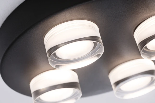 Paulmann Wand- en plafondlamp Kame IP44 zwart