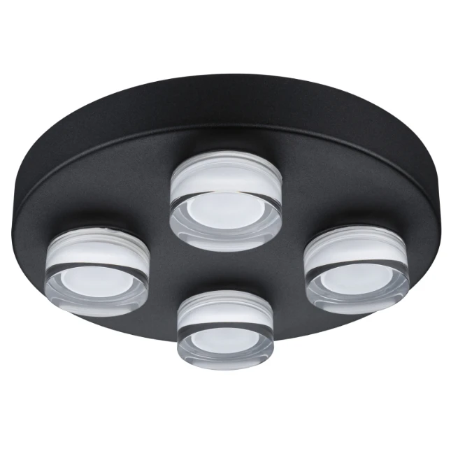 Paulmann Wand- en plafondlamp Kame IP44 zwart
