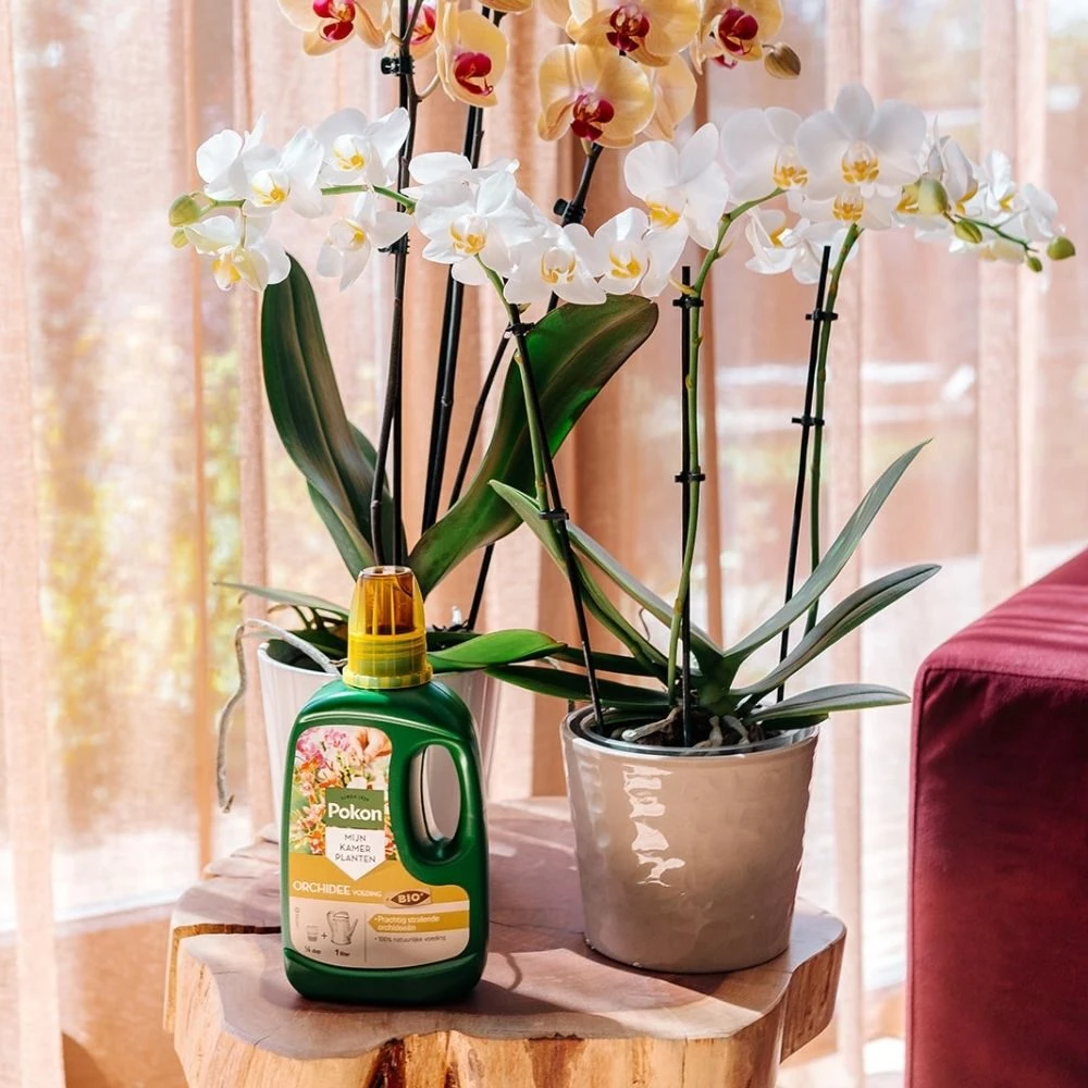 Pokon Bio Orchidee Voeding 500ml