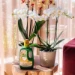 Pokon Bio Orchidee Voeding 500ml