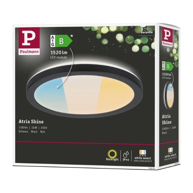 Paulmann LED-paneel Atria Shine rond O190mm 7,6 W zwart