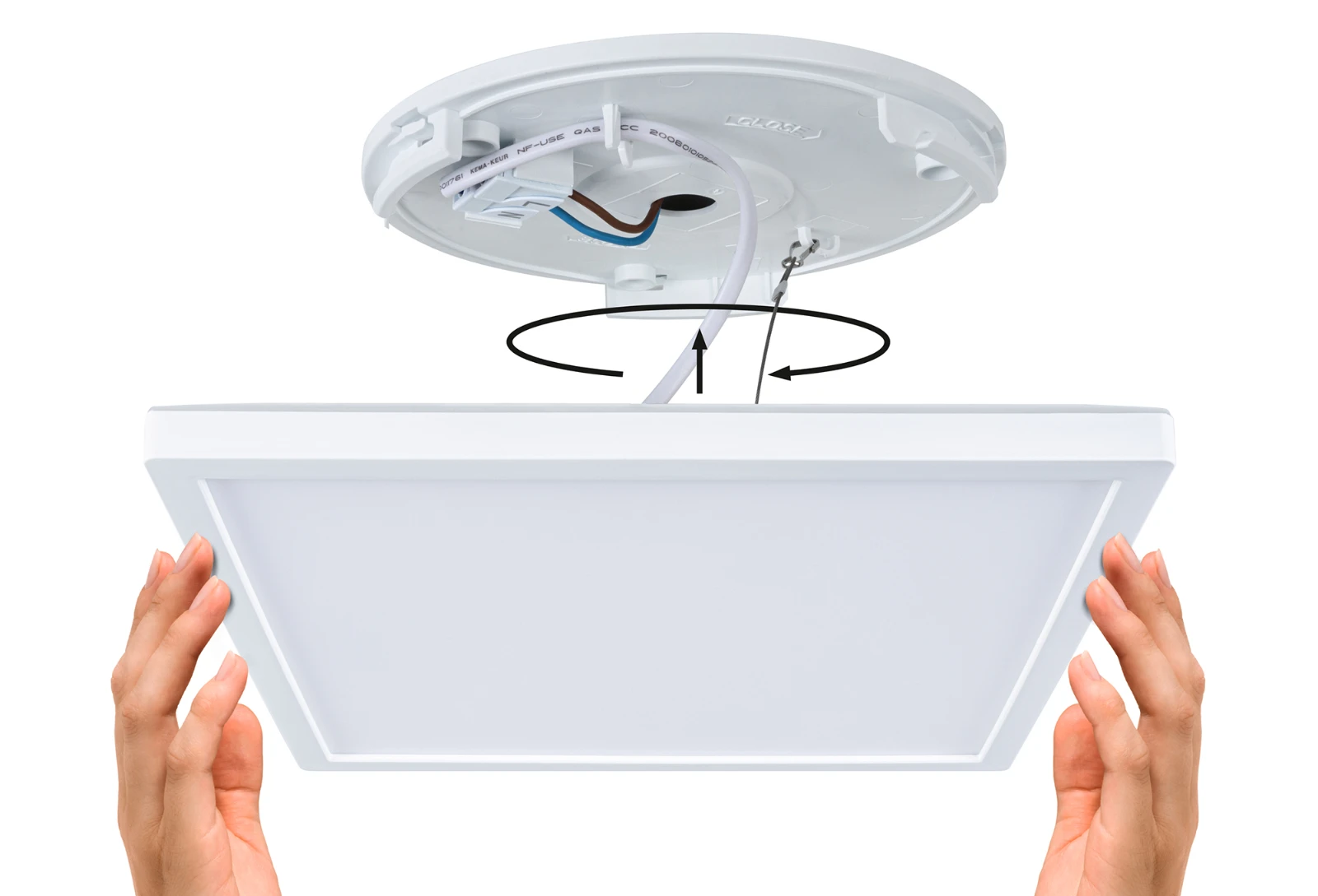 Paulmann LED-paneel Atria Shine vierkant 298x298mm 15,7W wit
