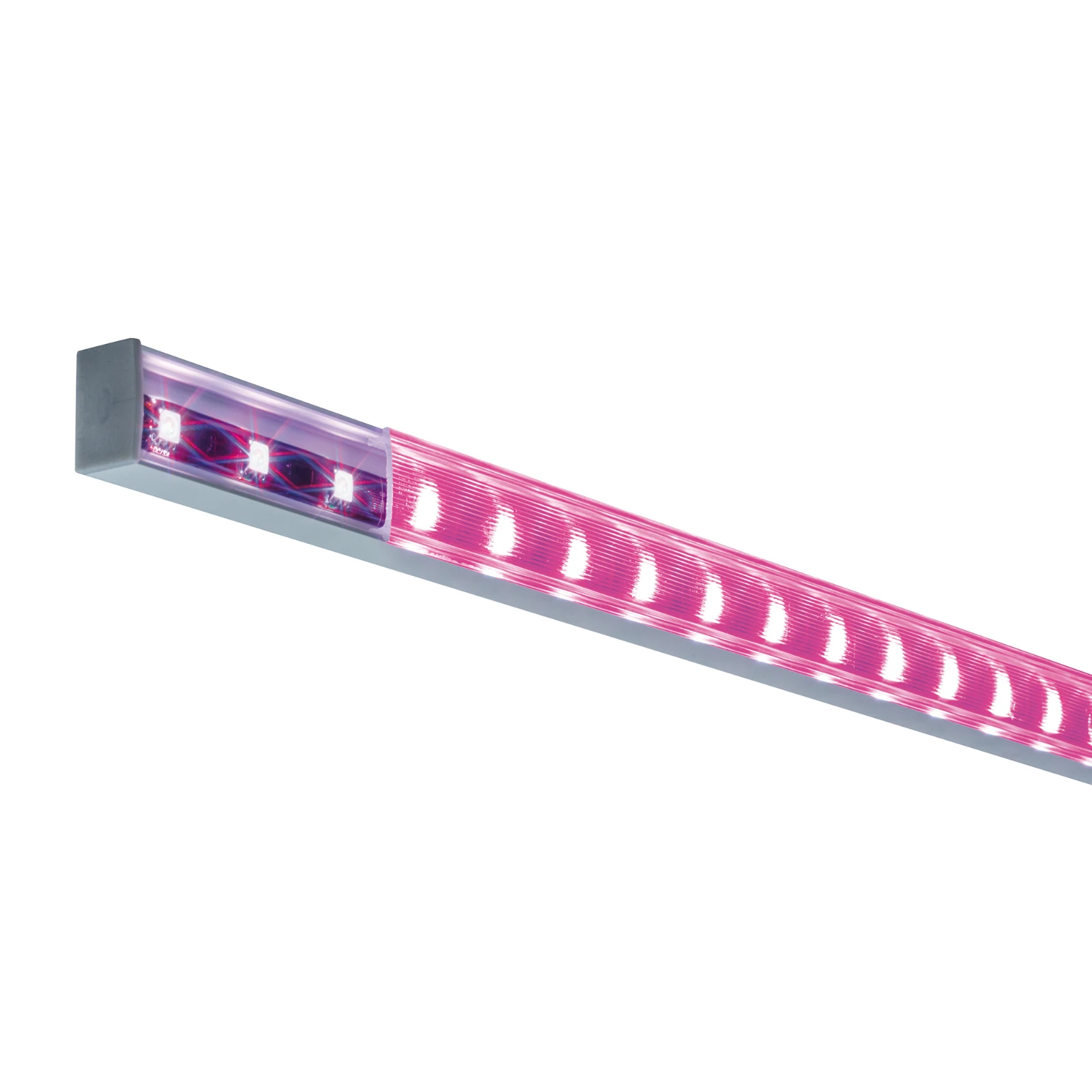 Paulmann LED-strip profiel Square 200cm (diffusor gesatineerd)