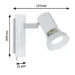 Paulmann Spotlight Teja 10W GU10 wit - 1-spot