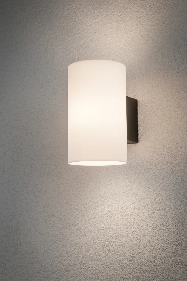 Paulmann Buitenwandlamp Tube kunststof - antraciet