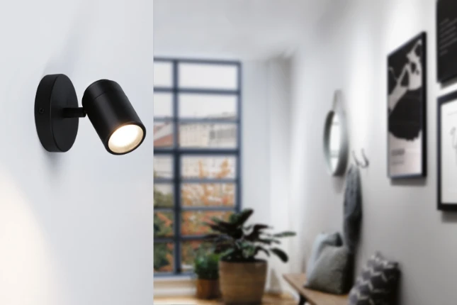 Paulmann Spotlight Zyli IP44 10W GU10 dimbaar zwart- 1-spot