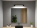 Paulmann LED-wandlamp Lucille IP44 17W zwart