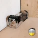 Home Defense Muizenvangkooi - kunststof
