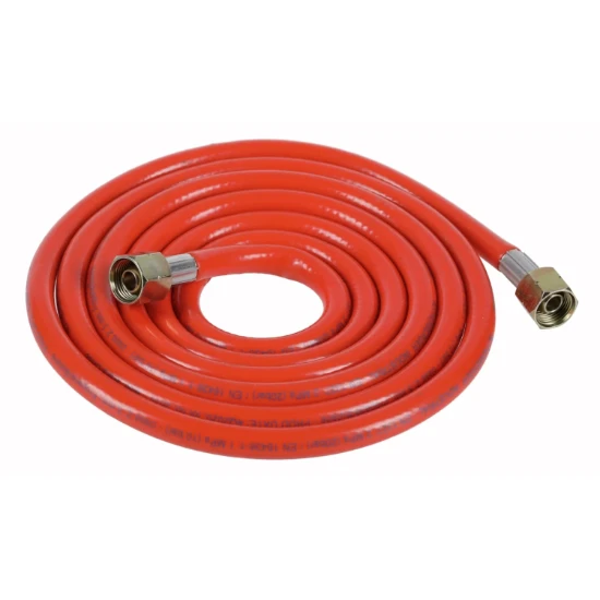 Rothenberger Propaanslang met Aansluiting 2,5m (2x) 3/8" L