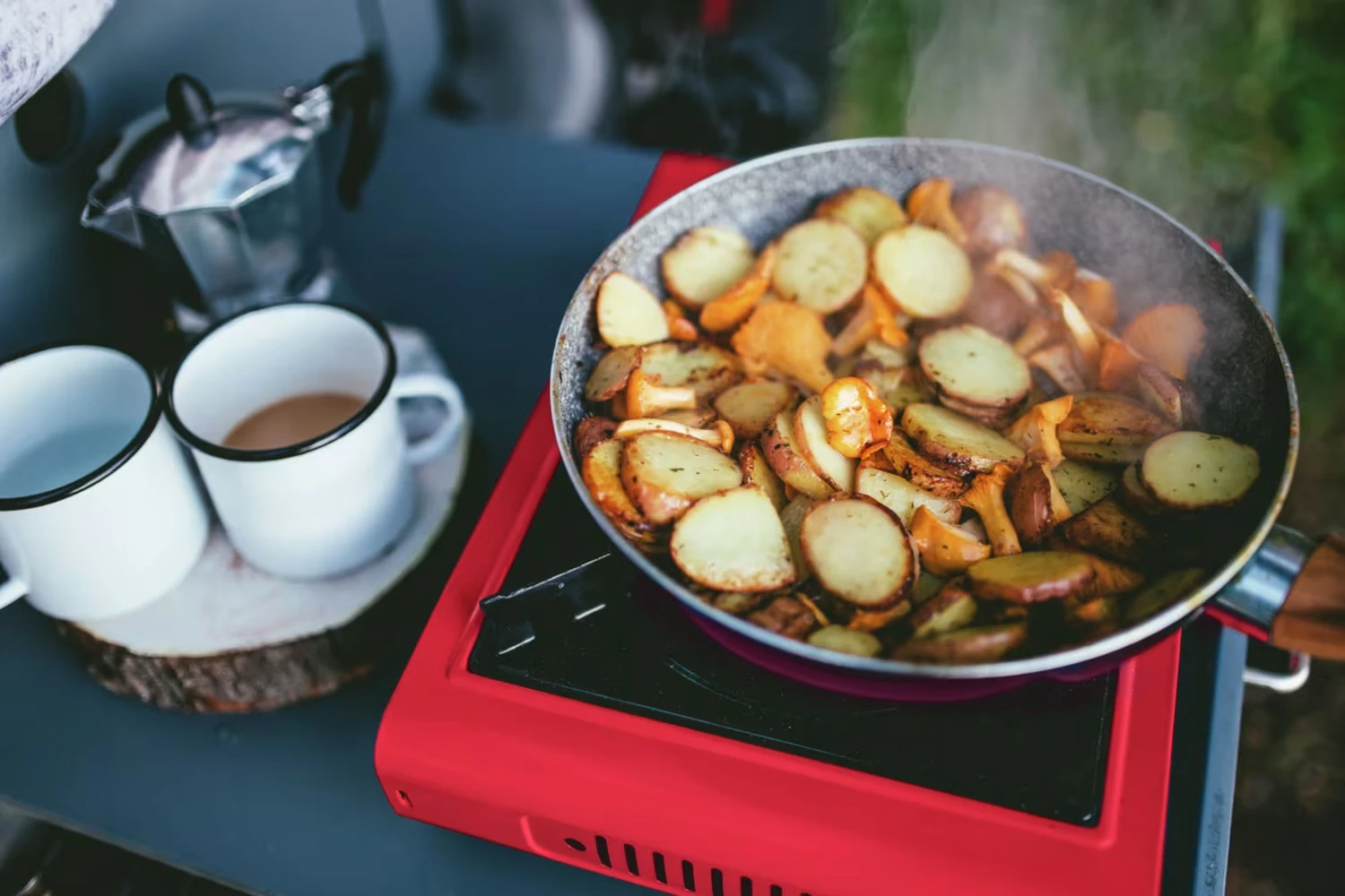 Rothenberger Camping Kooktoestel Gourmet Piezo RS 220