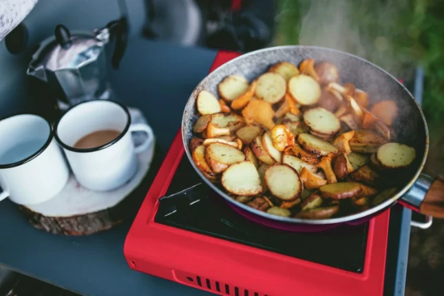 Rothenberger Camping Kooktoestel Gourmet Piezo RS 220