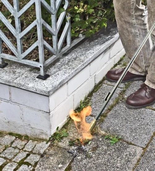 Rothenberger Onkruidbrander met piezo