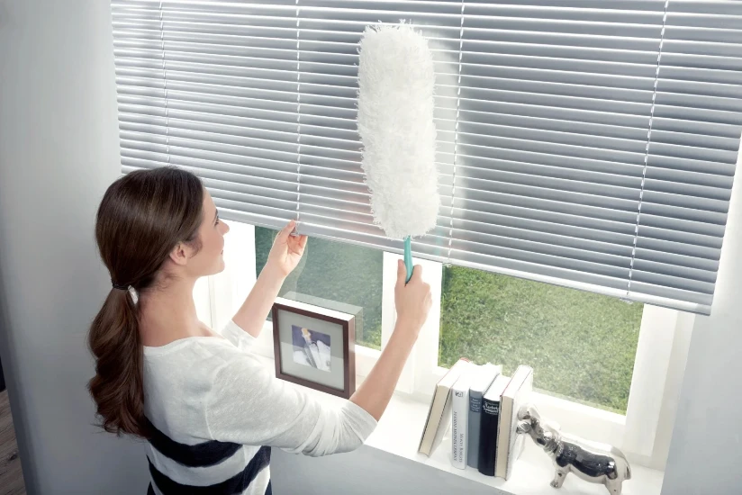 Leifheit Plumeau Duster XL