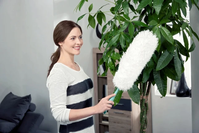 Leifheit Plumeau Duster XL