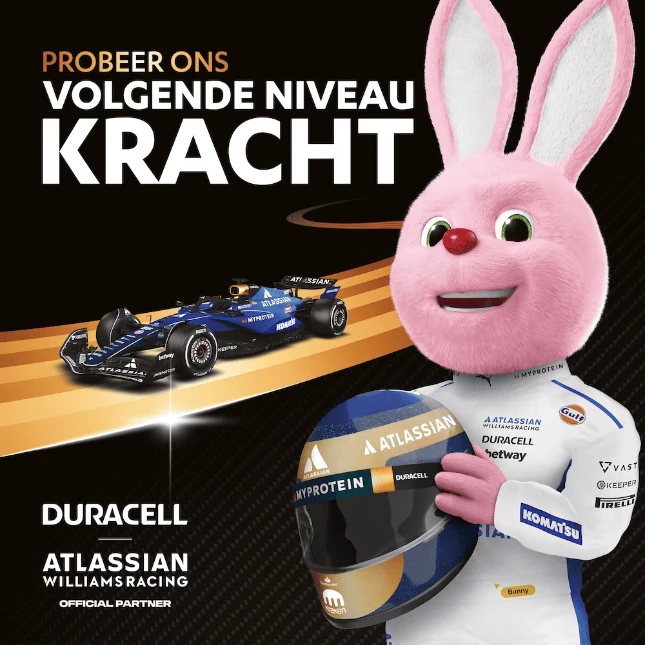Duracell Plus Alkaline AAA-batterijen (12 stuks) Promo