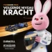 Duracell Plus Alkaline AAA-batterijen (12 stuks) Promo